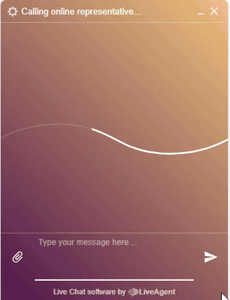 LiveAgent tiesioginė pokalbis - Startup darbas