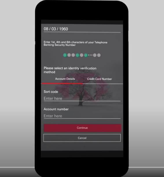 HSBC slaptažodžio įvedimo pavyzdys