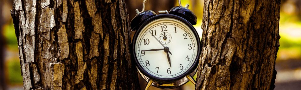 Kaip teikti geriausią realaus laiko kliento palaikymą 2025 m.