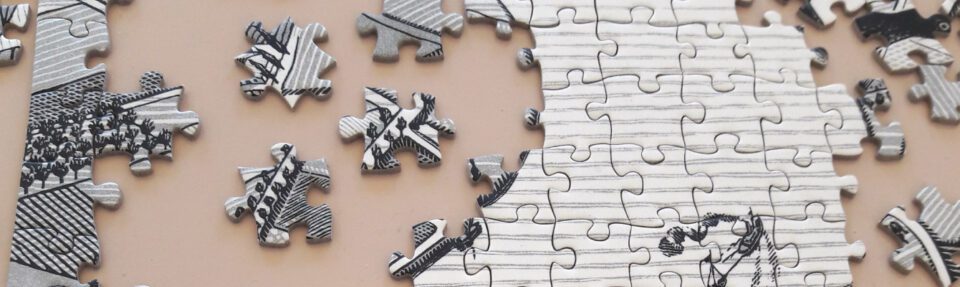 Kodėl turėtumėte integruoti programinę įrangą?