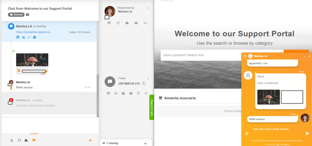 LiveAgent - realaus laiko rašymo peržiūra
