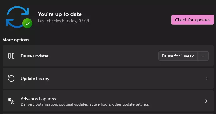 Sistemos atnaujinimai