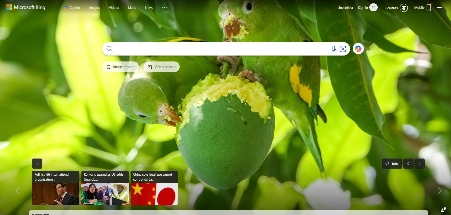 Bing Pagalbos Tarnybos Kontaktai