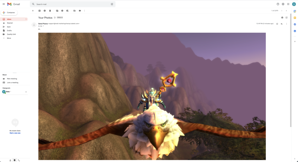 Įterpto vaizdo pavyzdys el. laiške