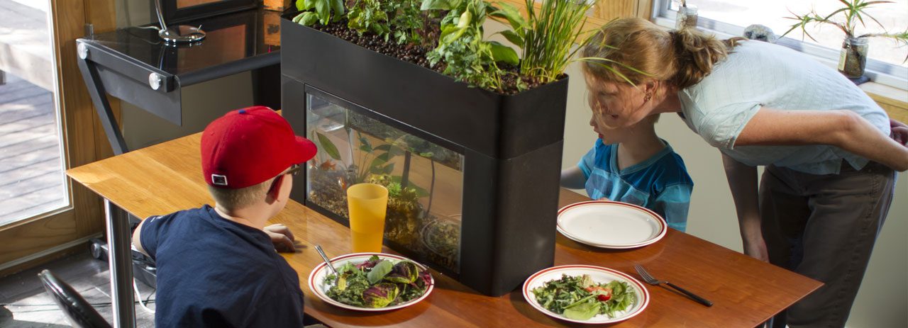 AquaSprouts tvarumas