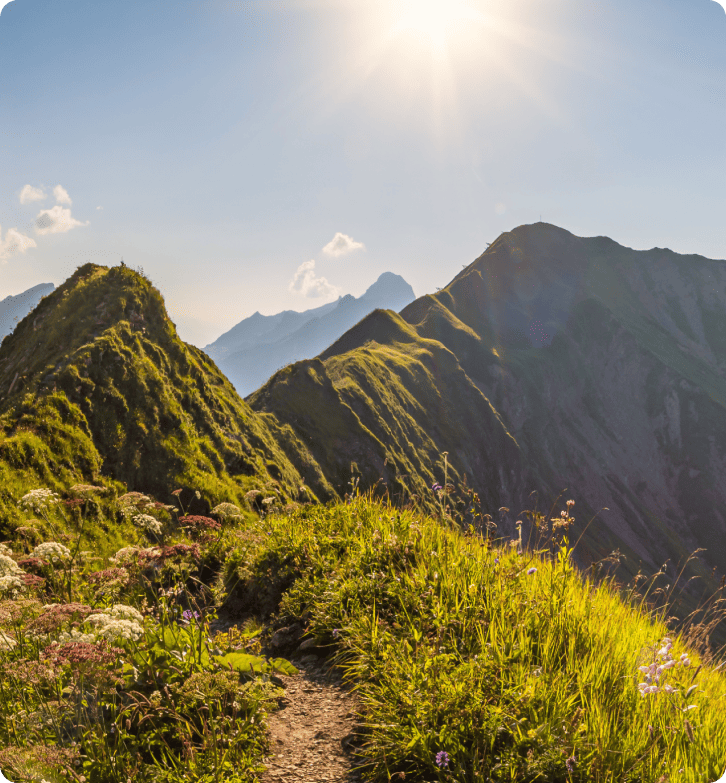 Kaip ZlavaDna pagerino kliento palaikymą naudodama LiveAgent