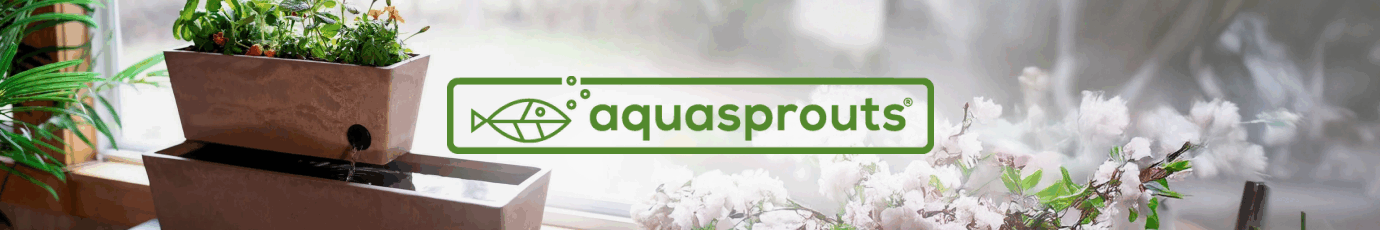 Kaip 'AquaSprouts' su 'LiveAgent' pasiekė 96,5 % klientų pasitenkinimo rodiklį