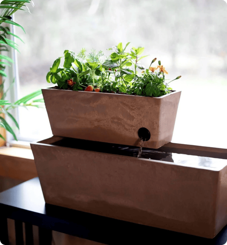 Kaip 'AquaSprouts' su 'LiveAgent' pasiekė 96,5 % klientų pasitenkinimo rodiklį